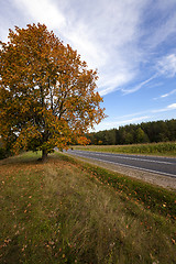 Image showing the autumn road  