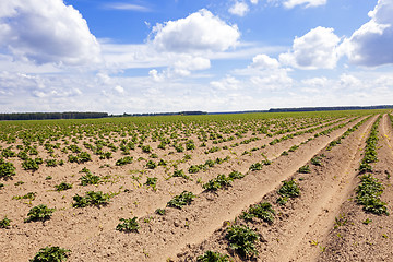 Image showing plowed agricultural field 