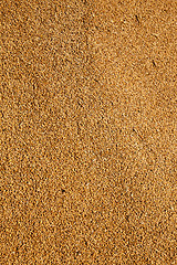 Image showing wheat grains  