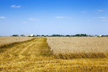 Image showing harvesting  