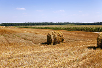 Image showing straw stack  