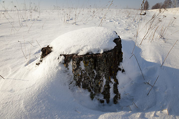 Image showing stump under snow 