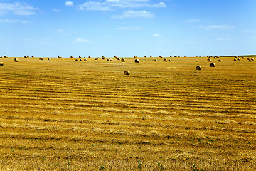 Image showing straw stack  