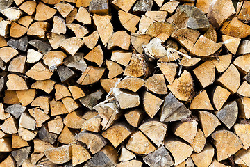 Image showing firewood  