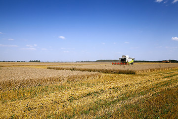 Image showing harvesting  