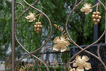 Image showing Fragment of decorative lattice in shape of grape vine in Kiev, Ukraine