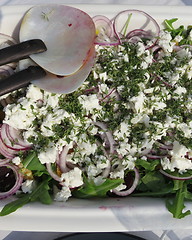 Image showing Salad