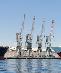 Image showing Row of four cranes in Eilat harbor, Israel