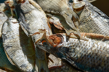 Image showing dried fish