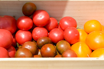 Image showing red and yellow tomatoes in wooden crates