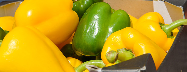Image showing green and yellow peppers