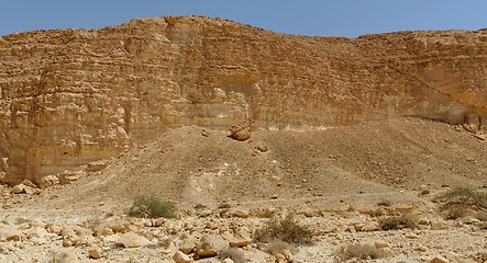 Image showing Acacia trees and bushes at the bottom of the rocky wall in the desert 