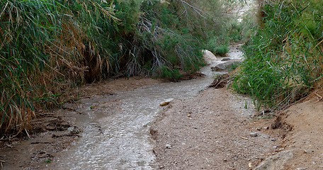 Image showing Small creek at sunset