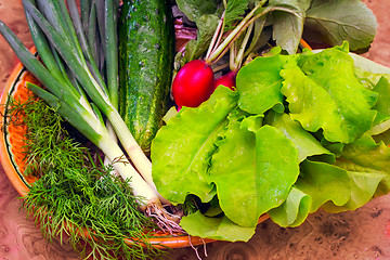 Image showing Vegetables: radish, cucumber, green onions, lettuce and dill