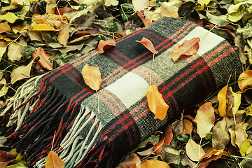 Image showing Warm and cozy blanket for relaxing in the forest.