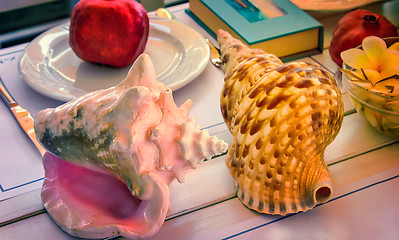 Image showing Still life: sea shell, book, fruit, flowers.