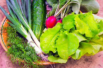 Image showing Vegetables: radish, cucumber, green onions, lettuce and dill