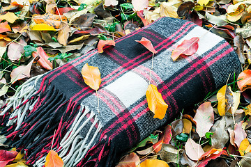 Image showing Warm and cozy blanket for relaxing in the forest.