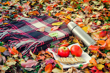 Image showing A convenient blanket to relax in the woods and Breakfast.