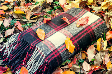 Image showing Warm and cozy blanket for relaxing in the forest.