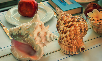 Image showing Still life: sea shell, book, fruit, flowers.