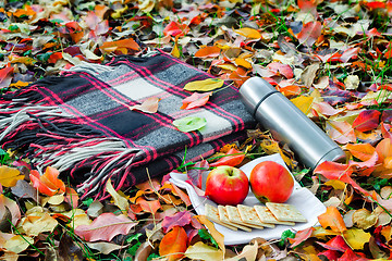 Image showing A convenient blanket to relax in the woods and Breakfast.