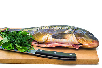 Image showing Fish and components for her preparation on a white background.