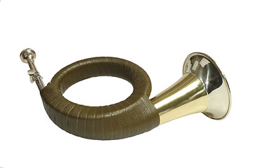 Image showing Shiny Horn