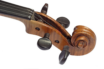 Image showing Violin Detail