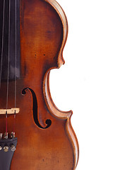 Image showing Violine isolated
