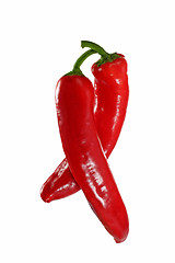 Image showing Red peperoni