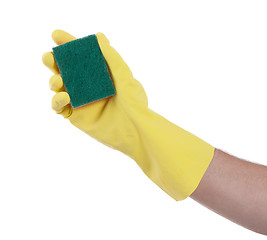 Image showing Mans hand in rubber glove with sponge isolated