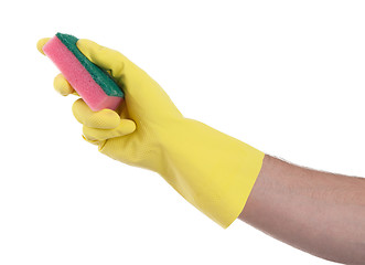 Image showing Mans hand in rubber glove with sponge isolated