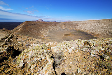 Image showing  in los volcanes volcanic timanfaya  rt flower bush