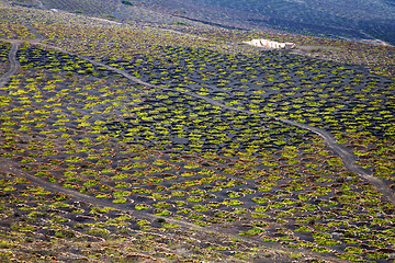 Image showing abstract winery spain la geria 