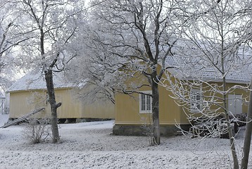 Image showing Winter