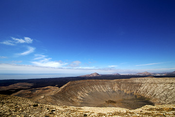 Image showing in los volcanes volcanic  lanzarote spain plant flower bush