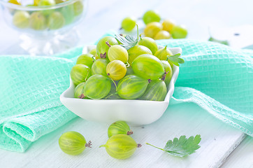 Image showing gooseberry