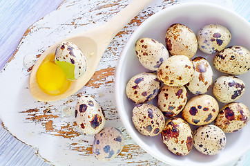 Image showing quail eggs