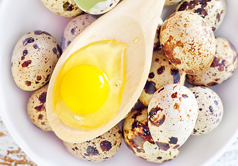 Image showing quail eggs