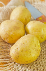 Image showing raw potato