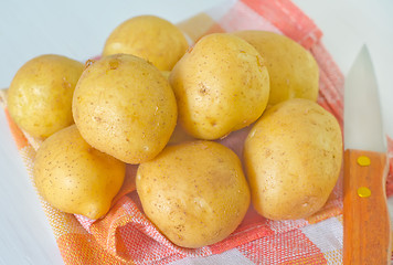 Image showing raw potato