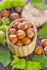 Image showing hazelnuts