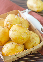 Image showing potato