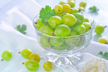 Image showing gooseberry