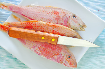 Image showing raw fish