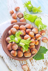 Image showing hazelnuts