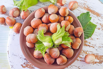 Image showing hazelnuts