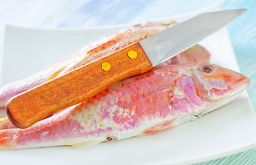 Image showing raw fish