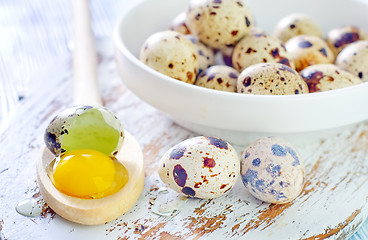 Image showing quail eggs